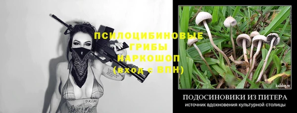 индика Гусиноозёрск