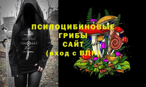 прущие грибы Дмитриев
