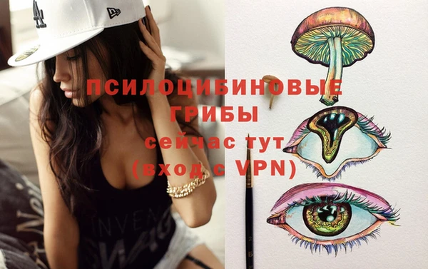 прущие грибы Дмитриев
