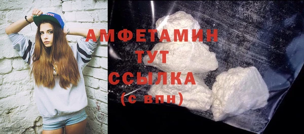 прущие грибы Дмитриев
