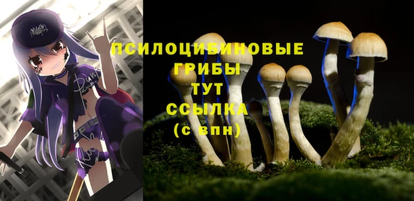 ALPHA-PVP Дмитровск