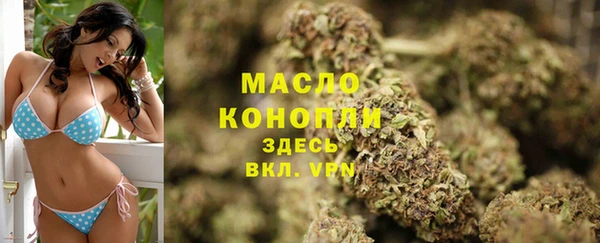прущие грибы Дмитриев