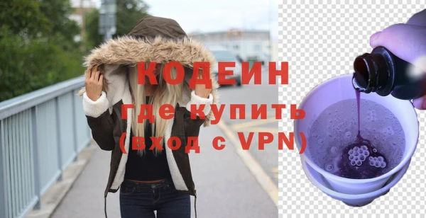 прущие грибы Дмитриев