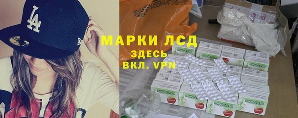 прущие грибы Дмитриев