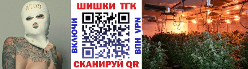 Каннабис сатива  Кедровый 